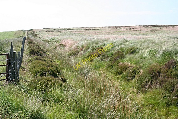 Photo 6"x4" Bracklamore Hill Bracklamore Hill c2009 P1