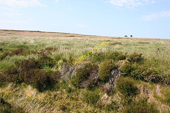 Photo 6"x4" Bracklamore Hill Bracklamore Hill c2009 P2