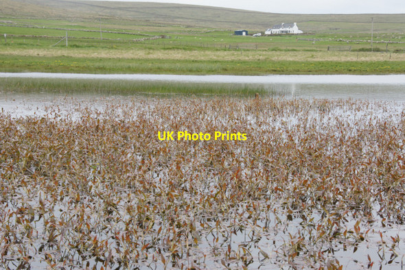 Photo 6"x4" Haroldswick pool Bothen c2010
