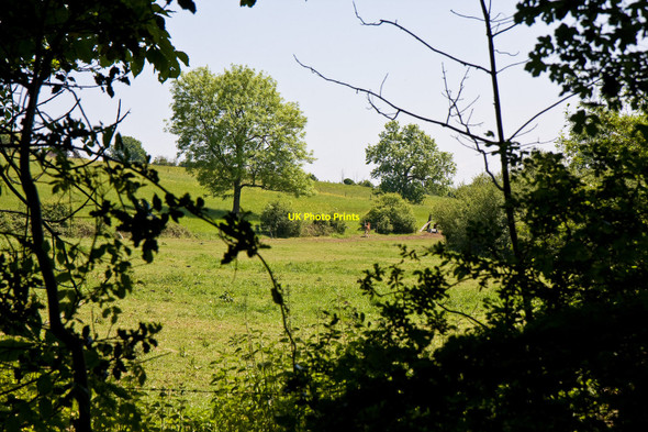 Photo 6"x4" Farmland Beside Hook Lane Northaw c2010