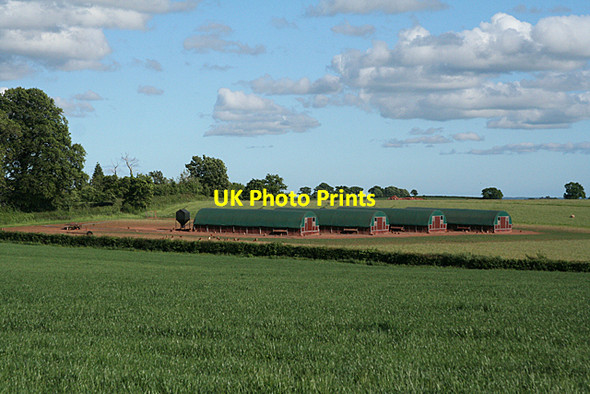 Photo 6"x4" Halberton: chicken farm Ash Thomas c2010
