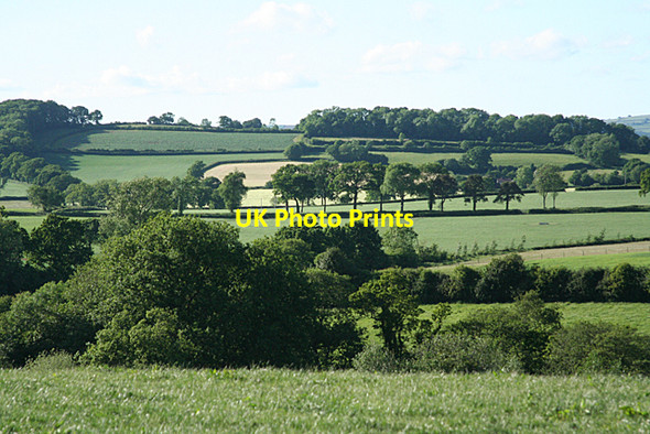 Photo 6"x4" Halberton: towards Cloggs Hill Ash Thomas c2010