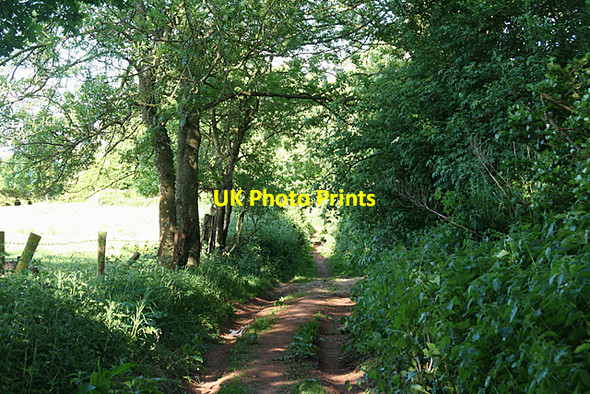 Photo 6"x4" Cullompton:  Goblin Lane 2 Cullompton c2010