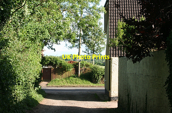 Photo 6"x4" Cullompton: lane by Trumps Barn Cullompton c2010