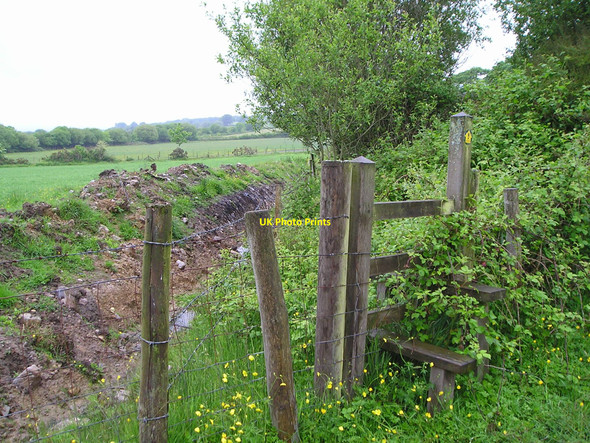 Photo 6"x4" Overgrown footpath Glanaman c2010