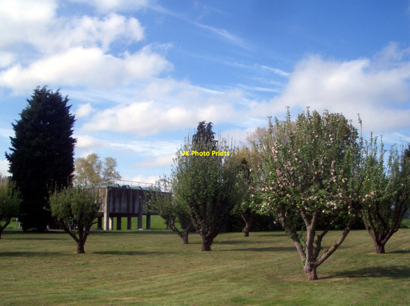 Photo 6"x4" Orchard in the Sewage Works Sandford-on-Thames c2010