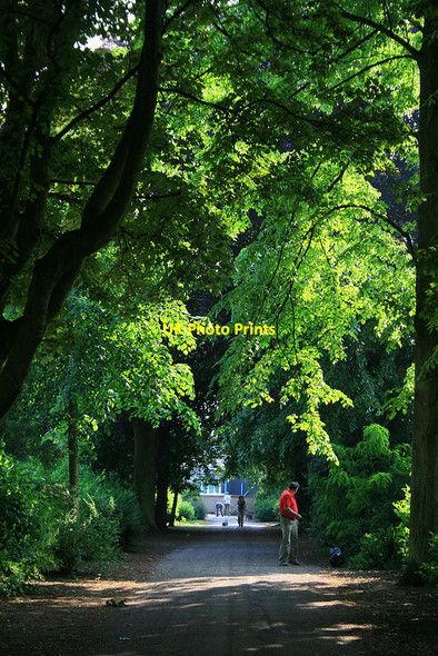 Photo 6"x4" Path in West Park Long Eaton c2010