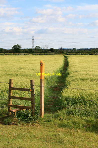 Photo 6"x4" Path near the River Soar Ratcliffe on Soar c2010