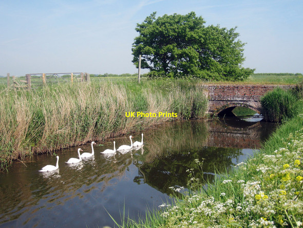 Photo 6"x4" Six Swans Fairfield\/TQ9626 c2010