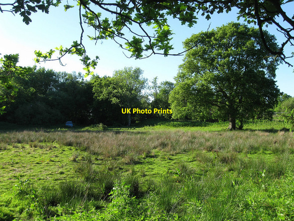 Photo 6"x4" Shortgate Field Laughton Common\/TQ4914 c2010
