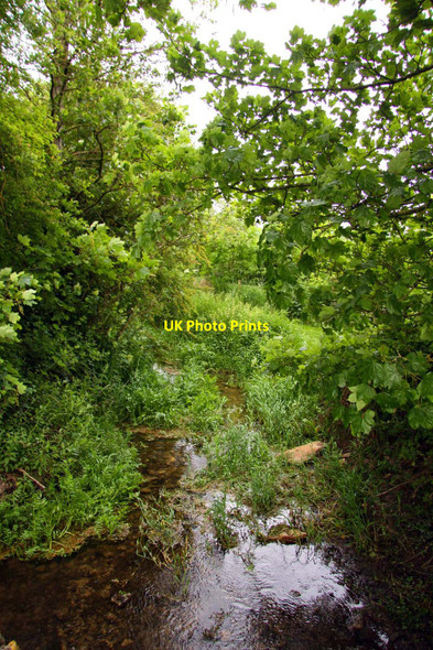Photo 6"x4" The Thames flows past Ewen Ewen c2010