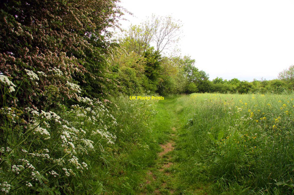 Photo 6"x4" The Thames Path near Parker's Bridge Ewen c2010