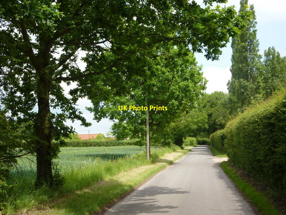 Photo 6"x4" Lane at Parliament Heath Broad Street\/TL9643 c2010