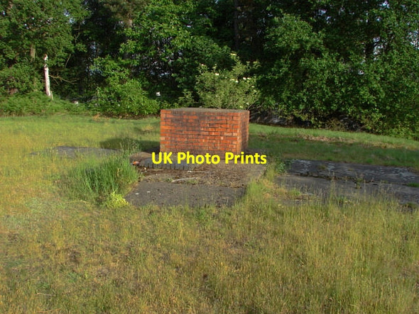 Photo 6"x4" Furze Hill Camping Ground Pirbright Camp c2010