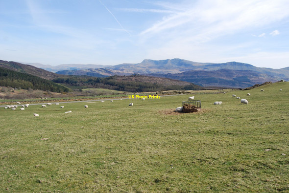 Photo 6"x4" Big stone free fields Cutiau c2010