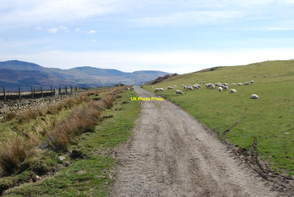 Photo 6"x4" Farm track towards Sylfaen Cutiau c2010
