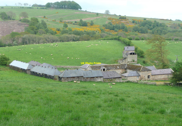 Photo 6"x4" Cragend, Cartington Knocklaw c2010