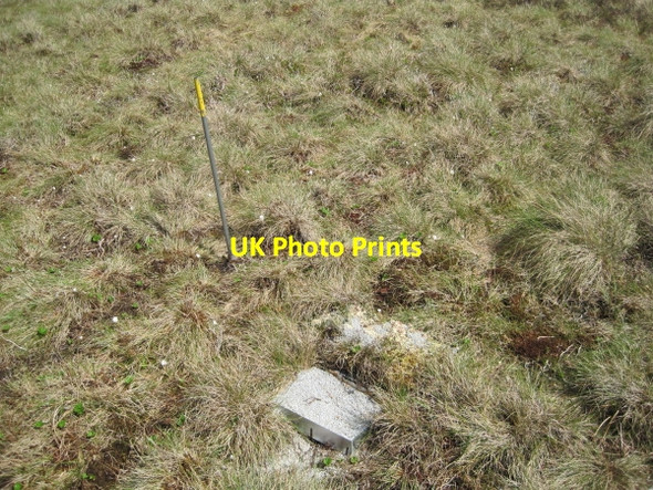 Photo 6"x4" Grouse Grit Box Farlam Currick c2010