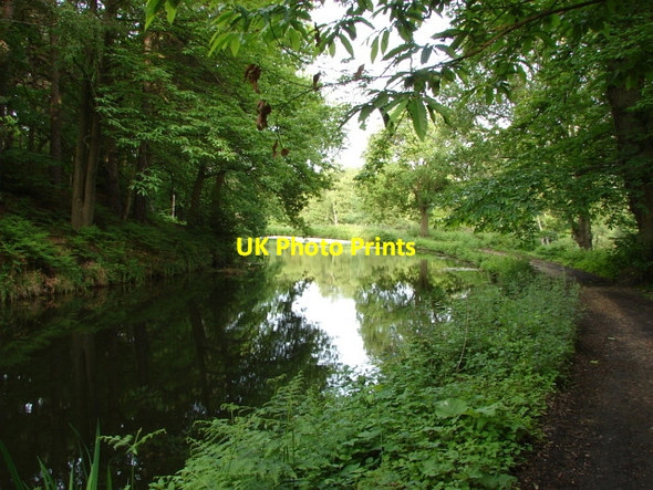 Photo 6"x4" Basingstoke Canal Pirbright Camp c2010