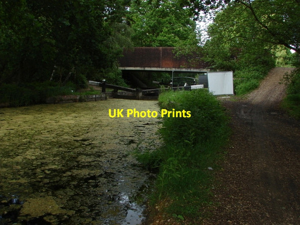 Photo 6"x4" Basingstoke Canal Pirbright Camp c2010 P1
