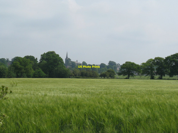 Photo 6"x4" Barley fields SW of Hurstpierpoint Bedlam Street c2010