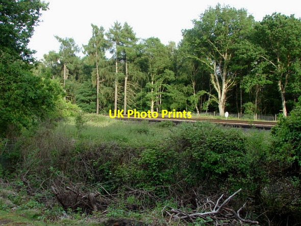 Photo 6"x4" Railway near Deepcut Pirbright Camp c2010
