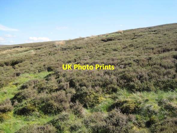 Photo 6"x4" Moorland near Guy's Cleugh Green Hill\/NY6449 c2010