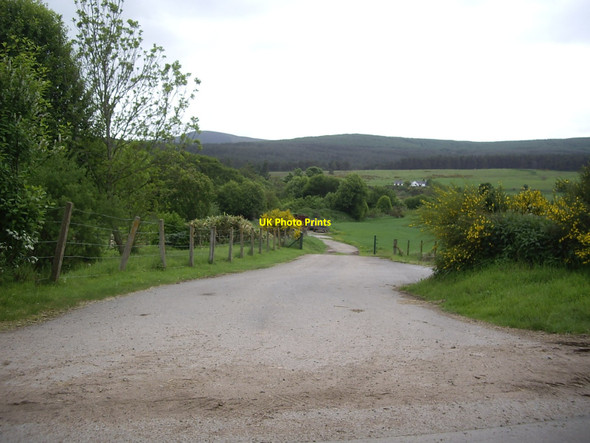 Photo 6"x4" Lane from Gateside towards Water of Feugh Strachan c2010