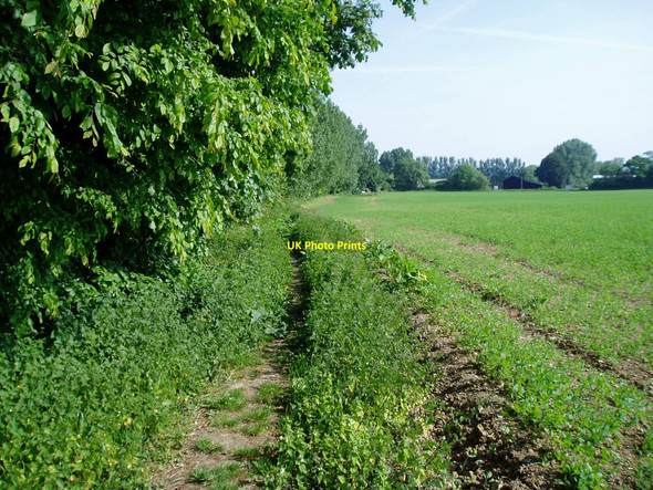 Photo 6"x4" Footpath to Wicks Farm Ford\/SU9903 c2010