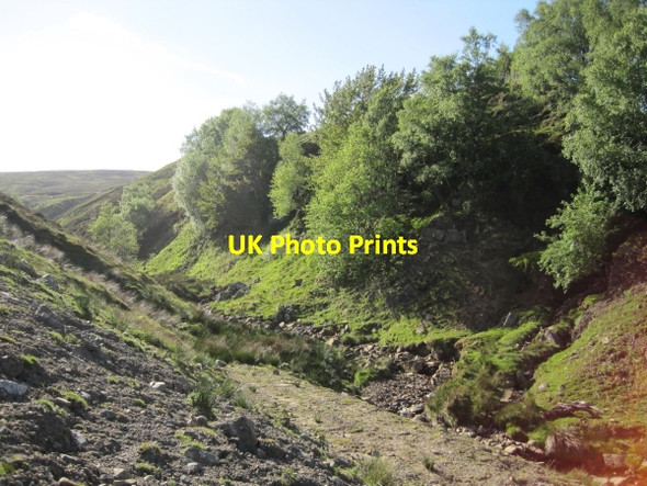 Photo 6"x4" Hut Burn, Knarsdale Common Slaggyford c2010