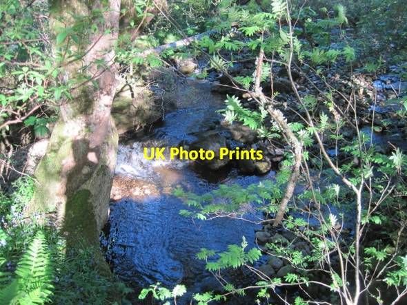 Photo 6"x4" Knar Burn near Greenhaugh Slaggyford c2010