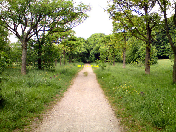 Photo 6"x4" Rivington Country Park Adlington\/SD6013 c2010 P1