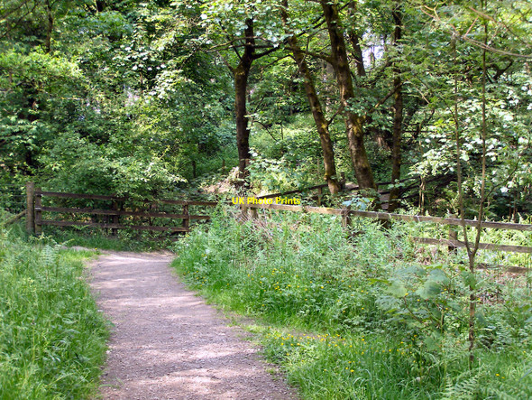 Photo 6"x4" Croft Bridge Adlington\/SD6013 c2010