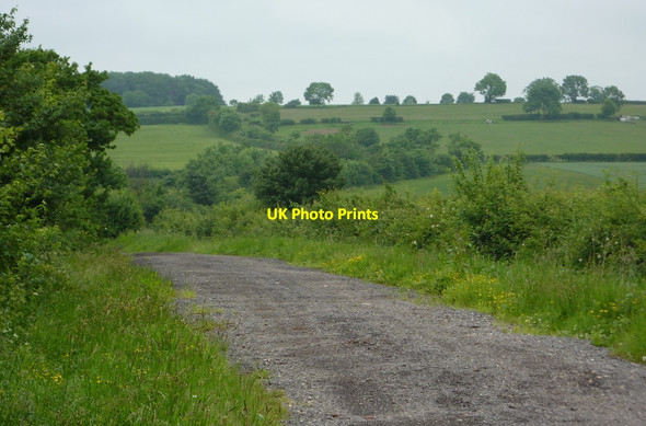 Photo 6"x4" Track in the countryside Clarborough c2010