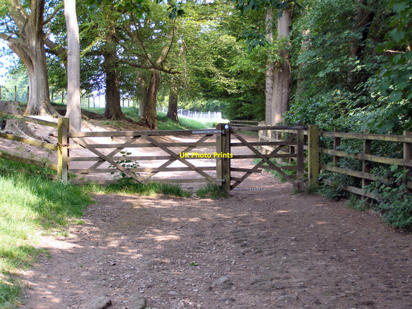 Photo 6"x4" Gate on Path Through Hall Wood Rivington c2010