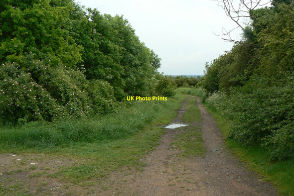 Photo 6"x4" Footpath off Daniels Way Hucknall c2010