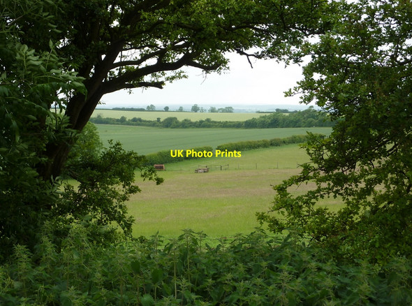 Photo 6"x4" Glimpse past hedge and trees North Wheatley c2010
