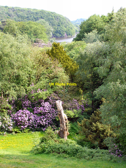 Photo 6"x4" View Towards Rivington Reservoir Adlington\/SD6013 c2010