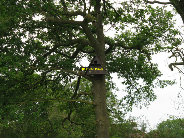 Photo 6"x4" Owl nest box at edge of Furze Field Sayers Common c2010