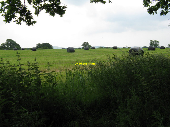 Photo 6"x4" Silage bales south of New House Farm Sayers Common c2010