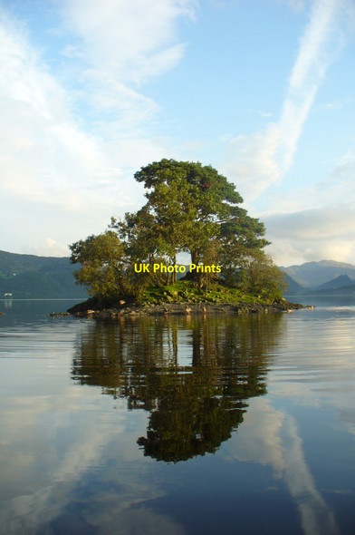 Photo 6"x4" One of the Lingholm Islands - Derwent Water Keswick\/NY2623 c2008
