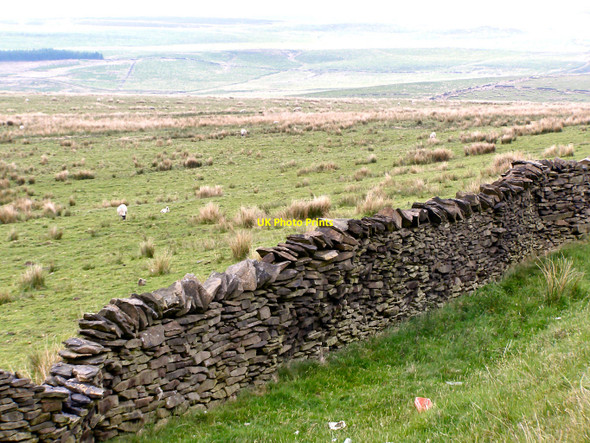 Photo 6"x4" Rivington Moor Rivington c2010