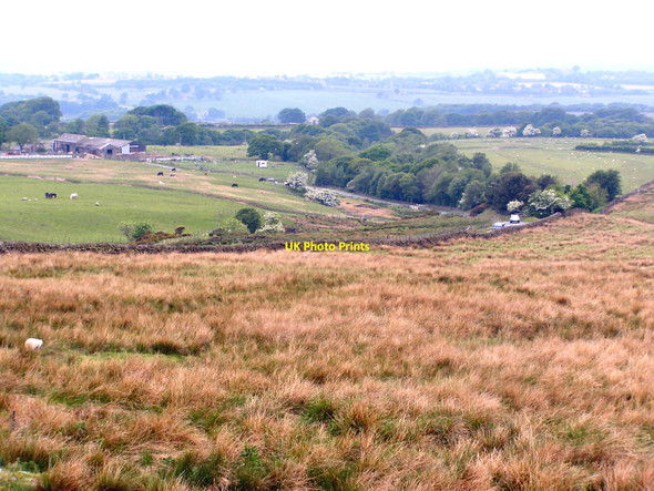 Photo 6"x4" Rivington Moor Rivington c2010
