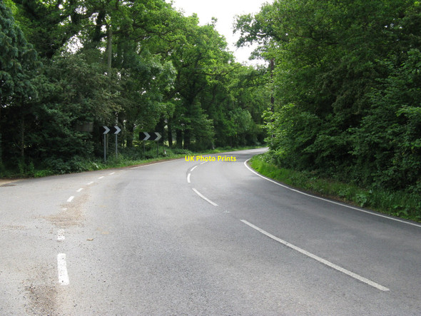 Photo 6"x4" Corner on the B2116 near Firsland Farm High Cross\/TQ2417 c2010