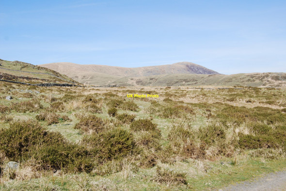 Photo 6"x4" Lowland hill grazing Caerdeon c2010