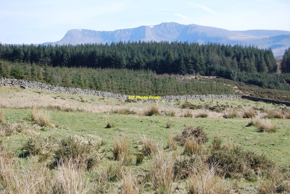 Photo 6"x4" Forest boundary dyke Caerdeon c2010
