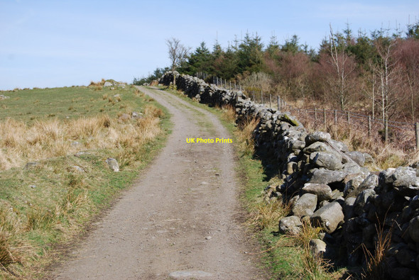 Photo 6"x4" Farm track beside the forestry plantation Caerdeon c2010
