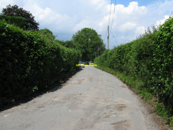 Photo 6"x4" North out of Blackstone on Blackstone Lane Blackstone\/TQ2416 c2010
