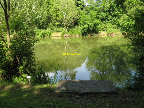 Photo 6"x4" Fishing lake at Albourne Place Albourne c2010