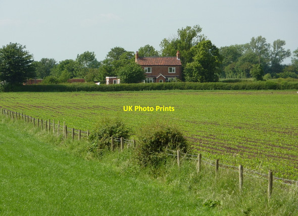 Photo 6"x4" View towards Meadow Farm from the canal bank Retford c2010